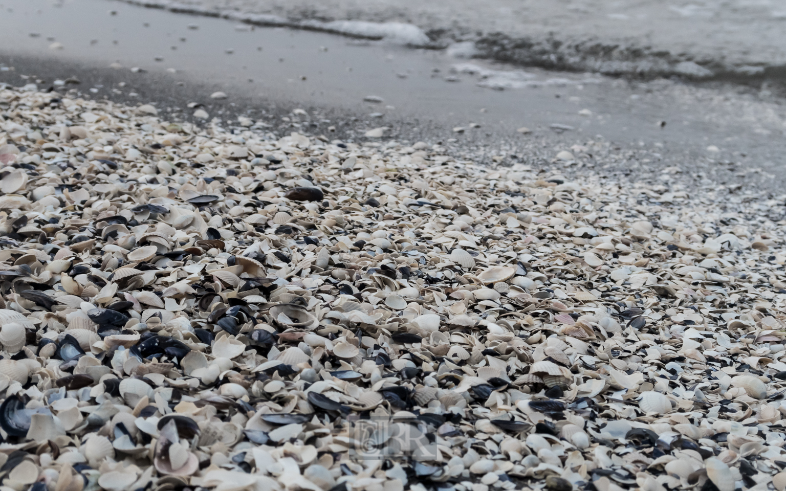 Strandeindrücke auf Hiddensee