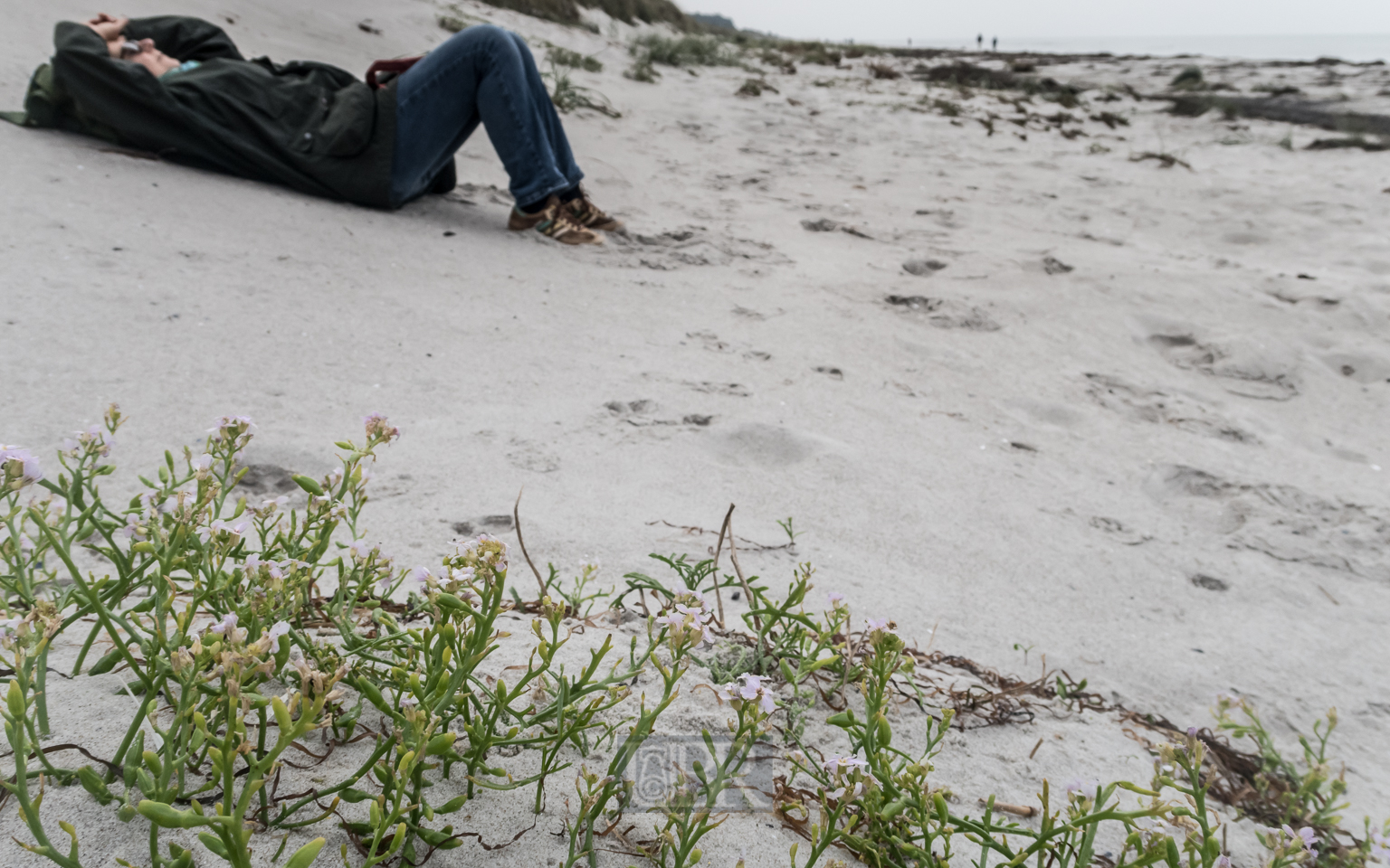 Strandeindrücke auf Hiddensee