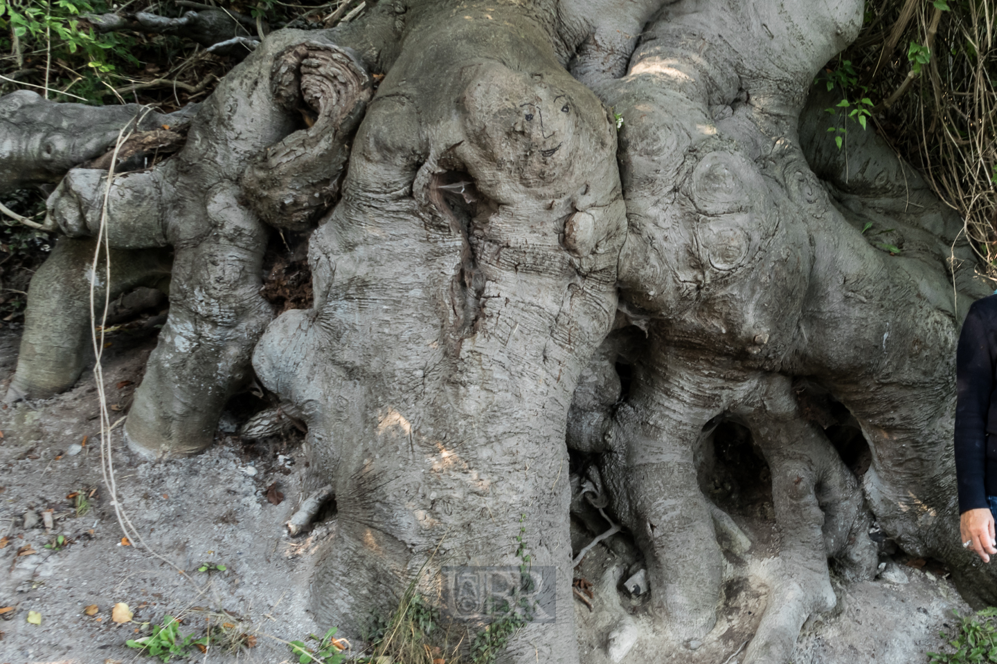 Strandgut - 'natur' oder künstlerisch bearbeitet