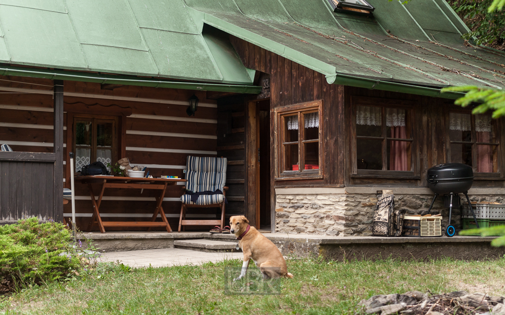 Unterkunft in einer traditionellen, modernisierten Blockhütte im Adlergebirge