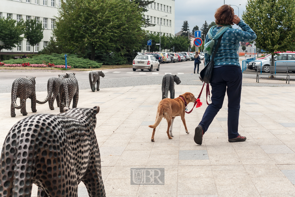 Schnappschüsse aus Trutnov (Trautenau), wo man mit Leoparden spazieren gehen kann . . .