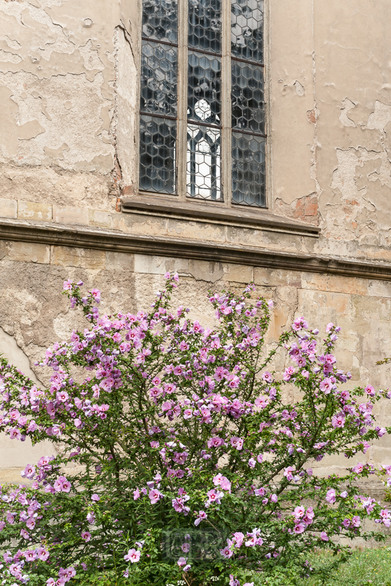 Schloss Castelonovice bei Pardubice mit 'bewohntem' Schlossgarten
