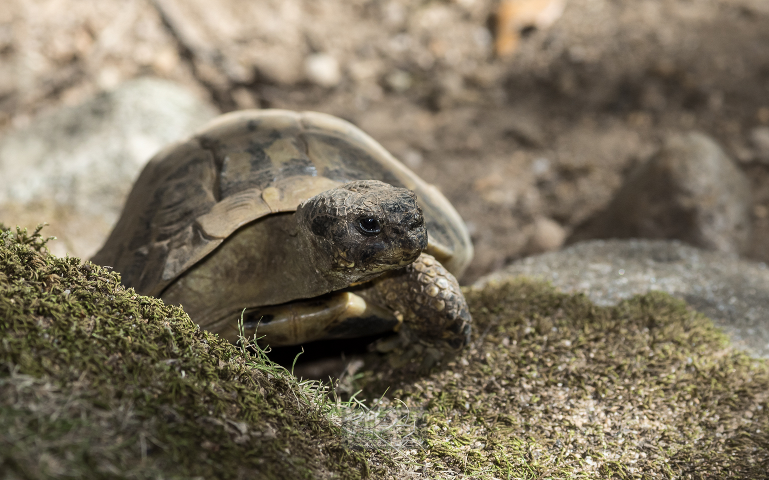 Grüße aus Griechenland