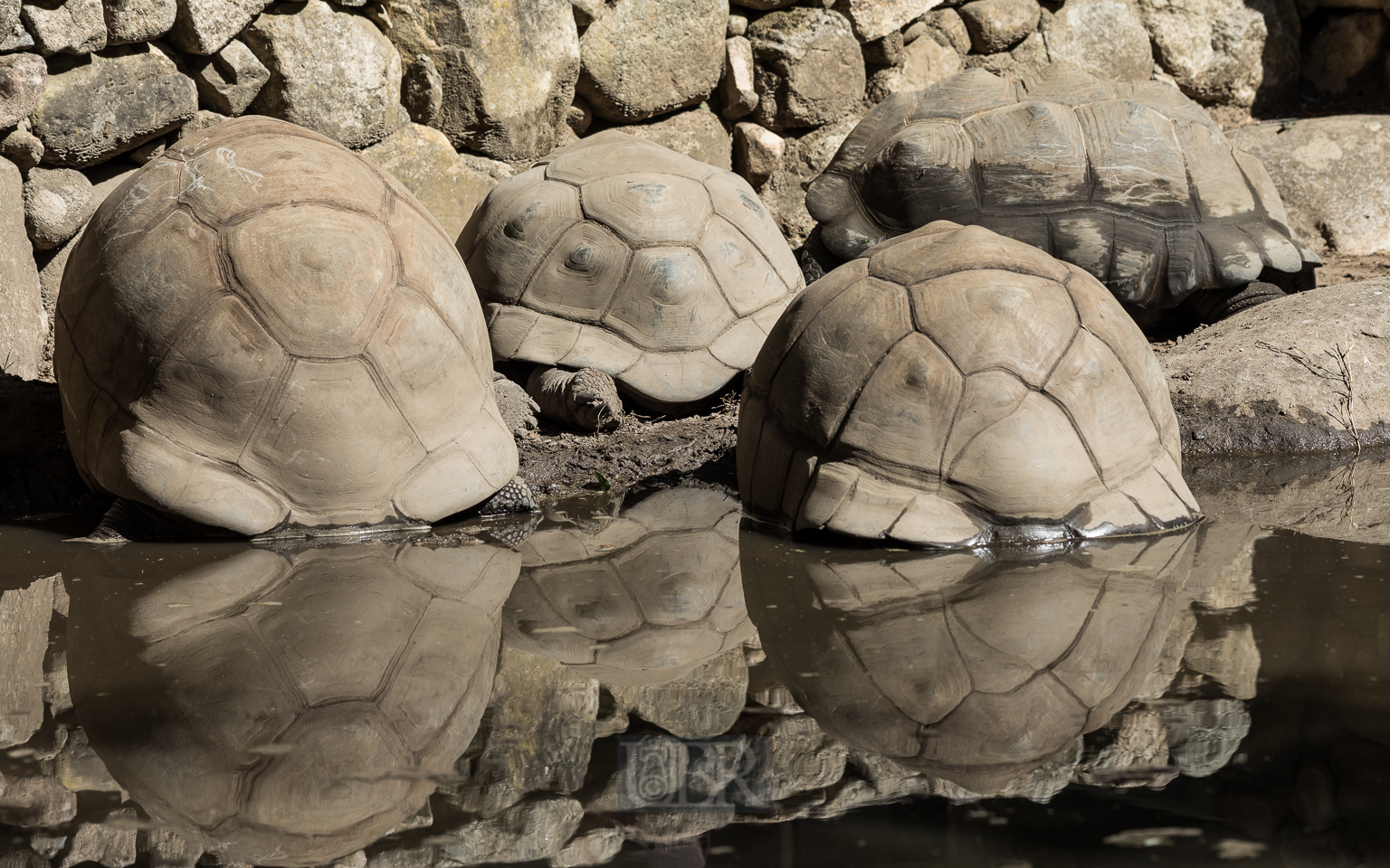 Grüße von den Galapagos - Inseln