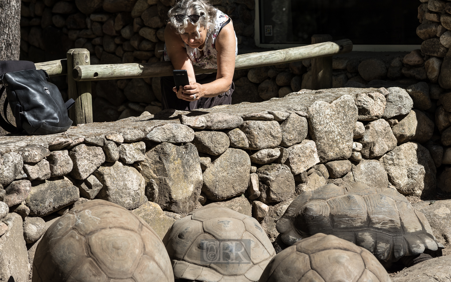 Grüße von den Galapagos - Inseln