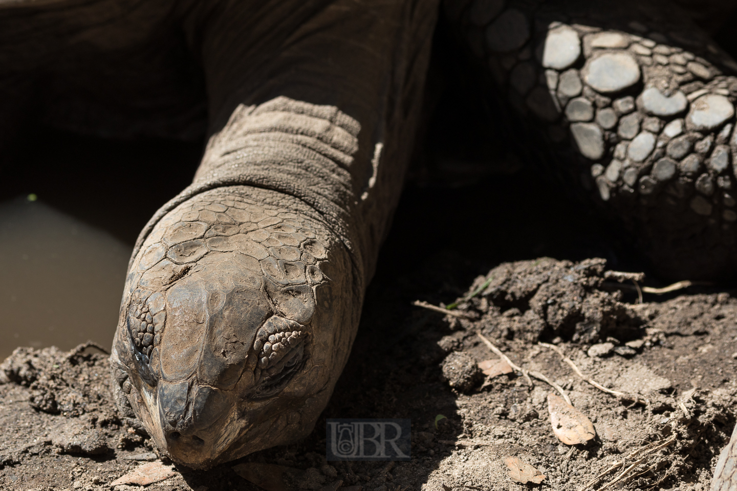 Grüße von den Galapagos - Inseln