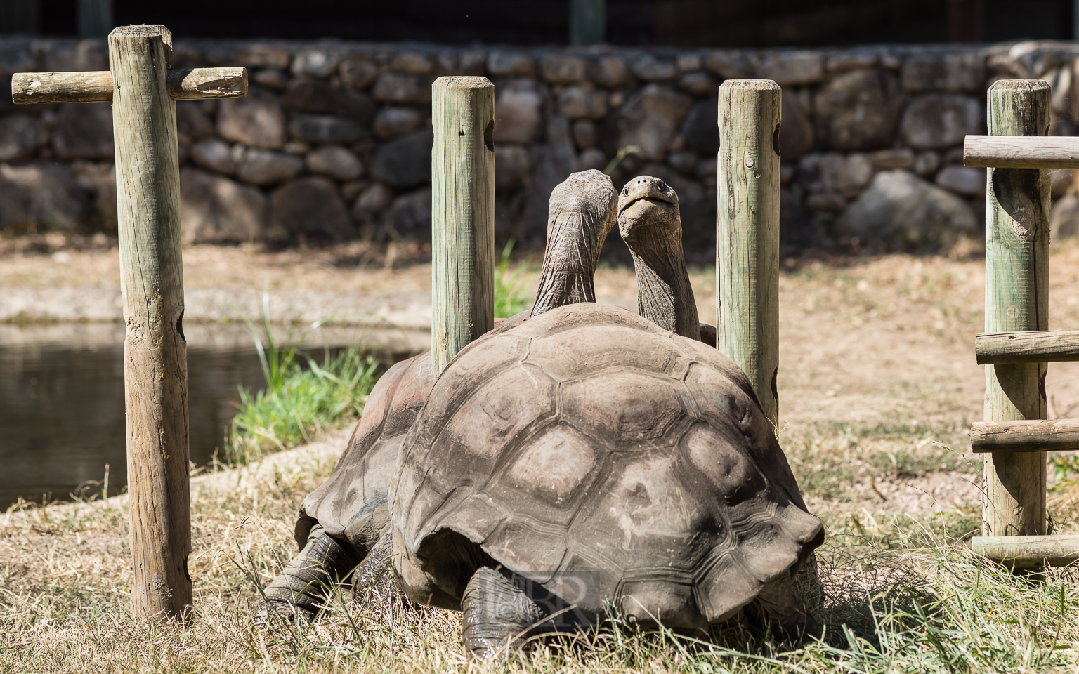 Grüße von den Galapagos - Inseln