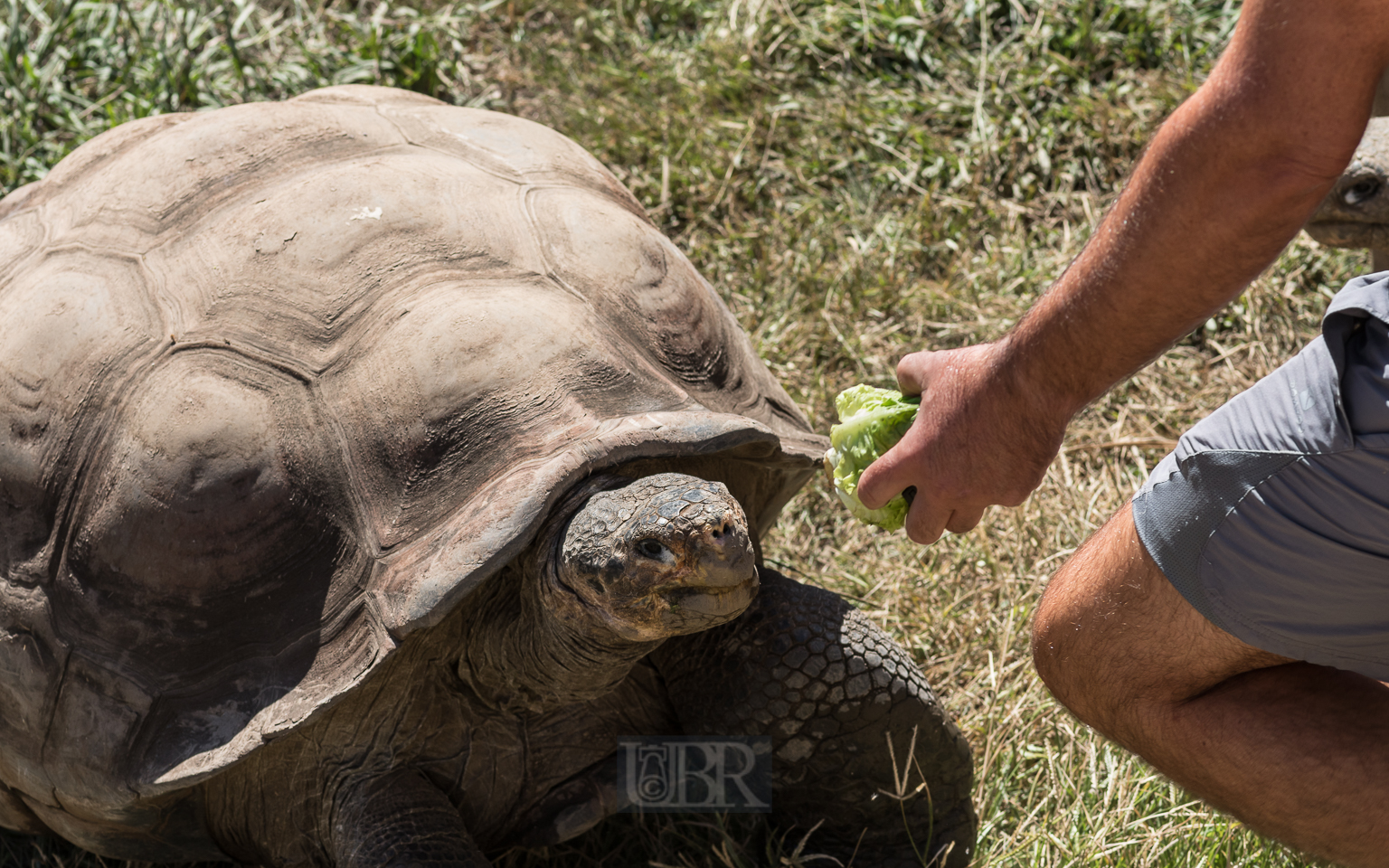Grüße von den Galapagos - Inseln