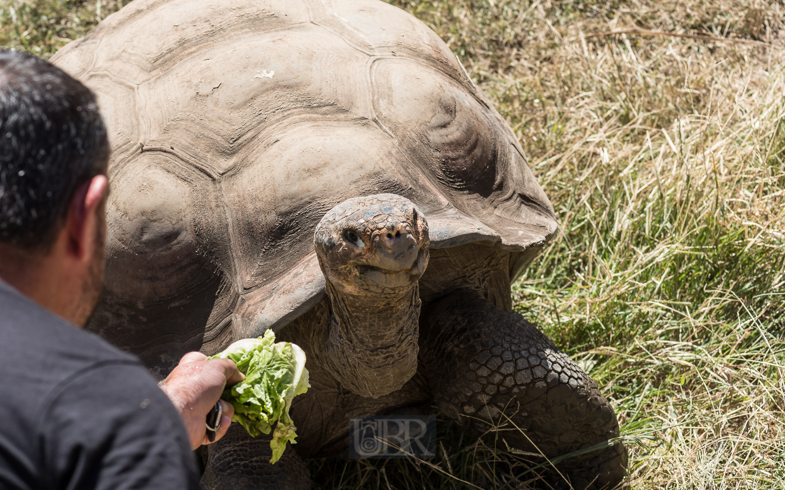 Grüße von den Galapagos - Inseln
