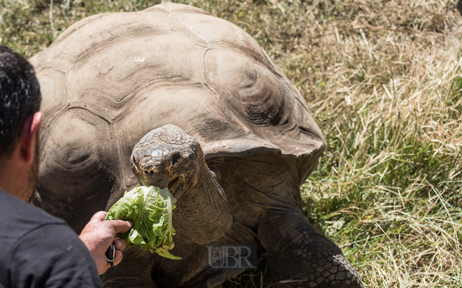 Grüße von den Galapagos - Inseln
