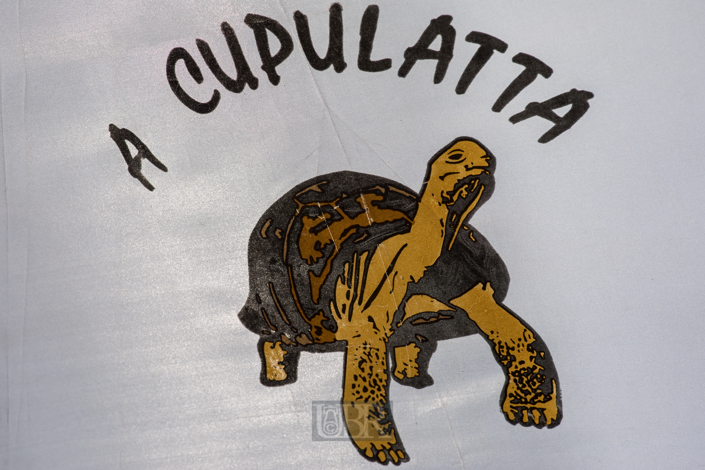 Ein vielfältiger Schildkröt - Park