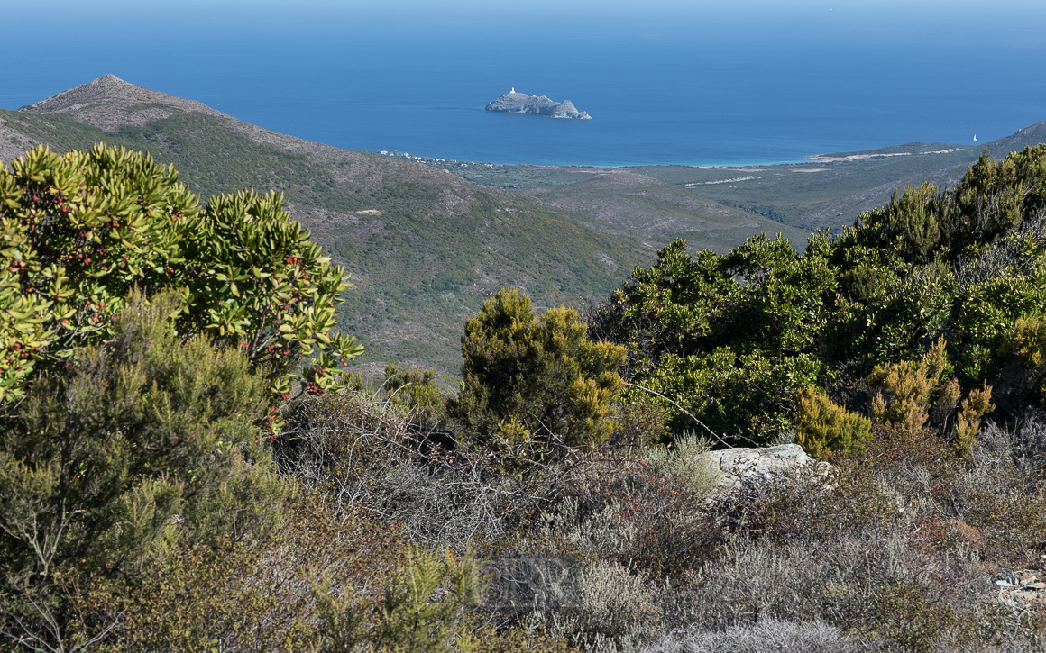 cap_corse_kueste_03