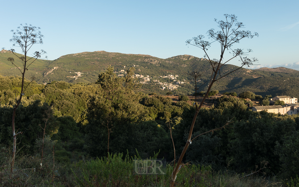 rogliano_ansicht_01