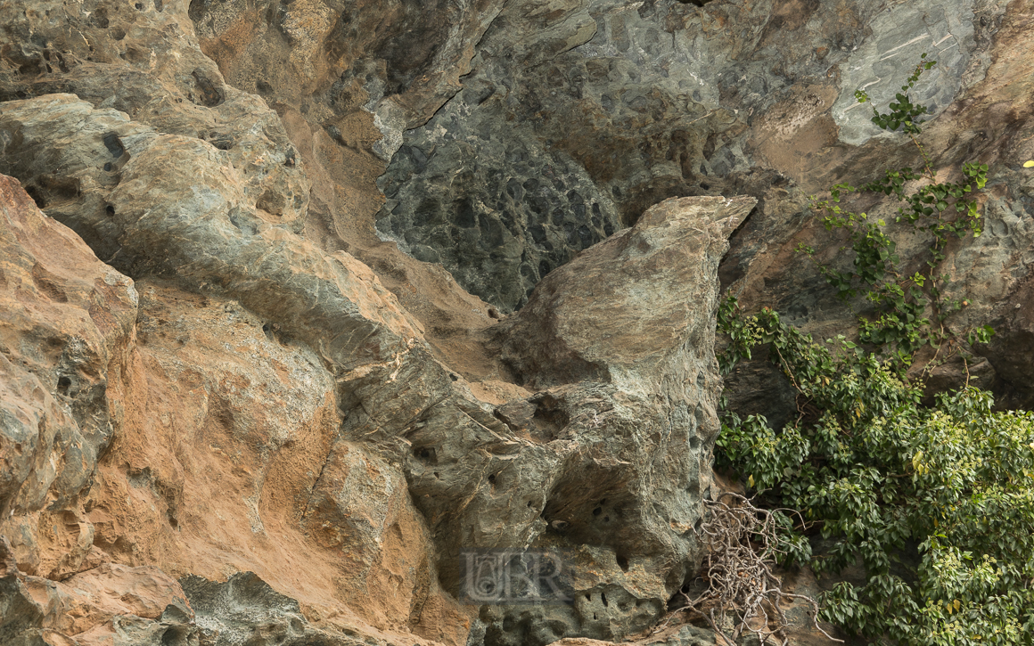 rogliano_magna_suprana_03