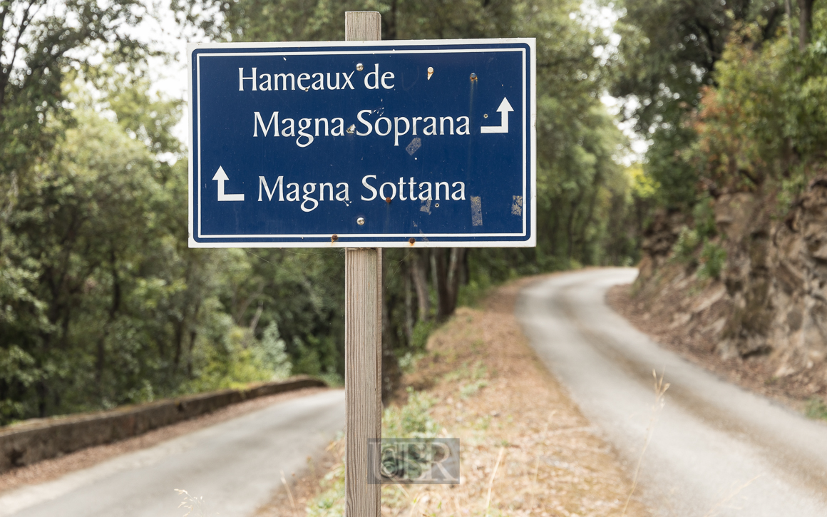 rogliano_magna_suprana_06