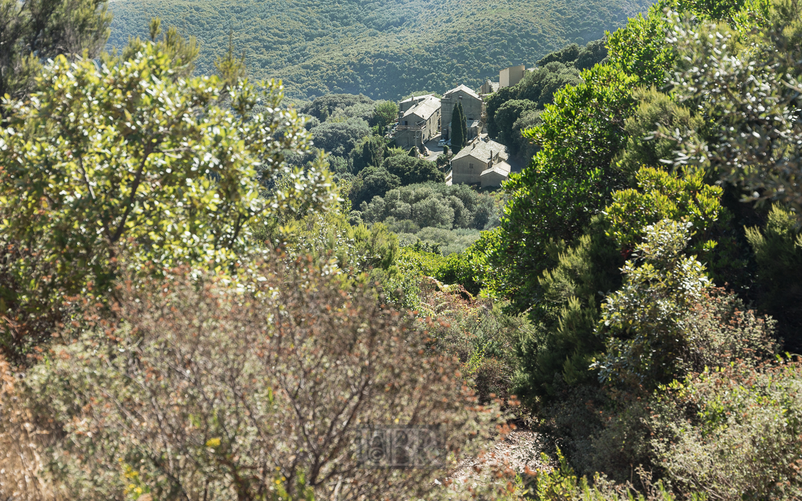 rogliano_ortsteile_01