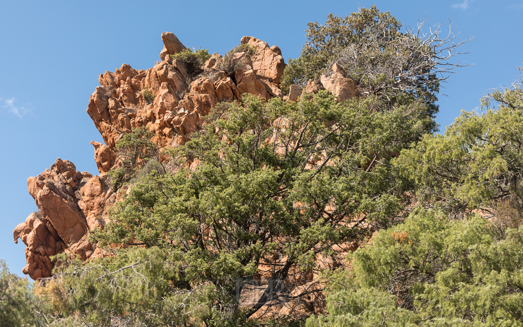 calanche_piana_felsen_14