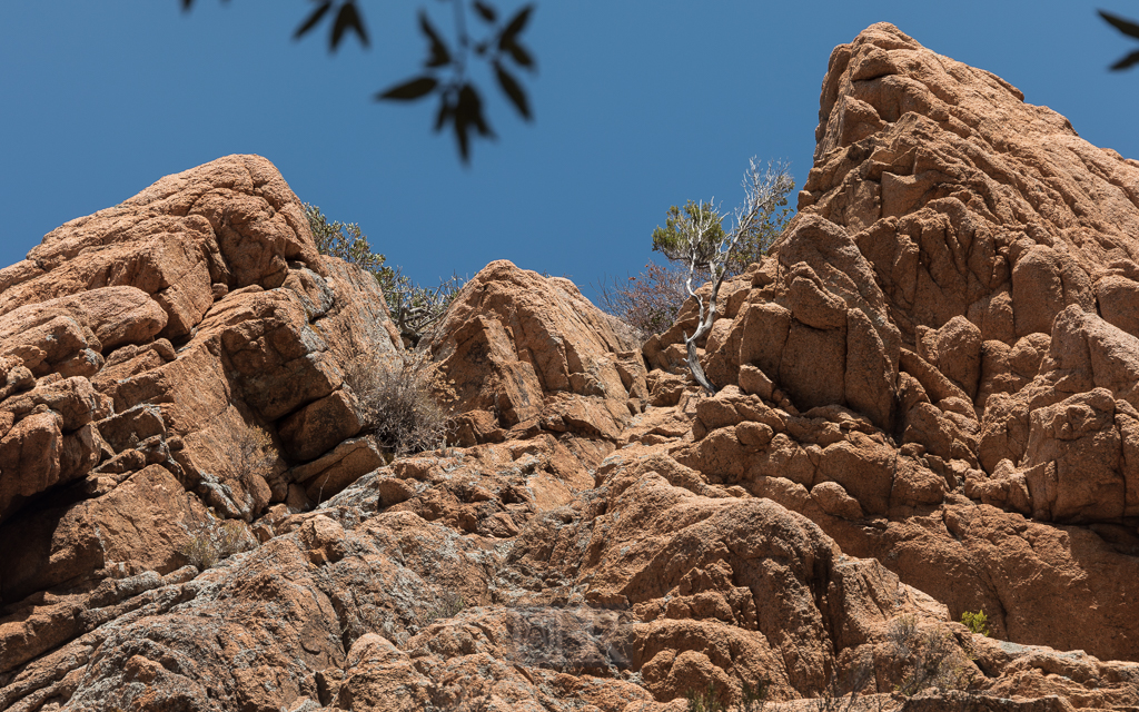 calanche_piana_felsen_17
