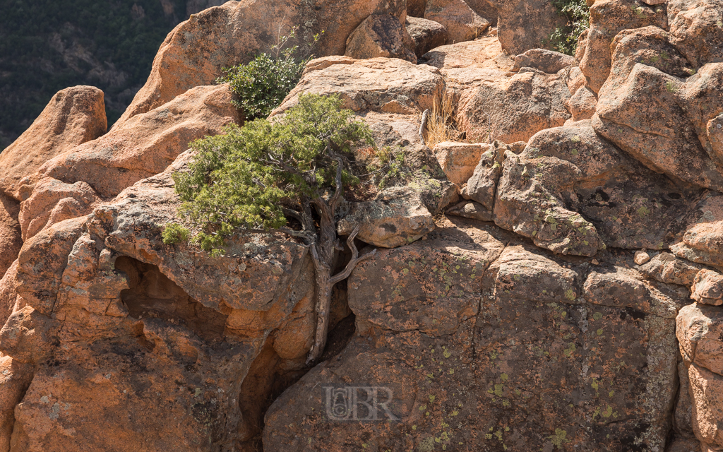 calanche_piana_felsen_4