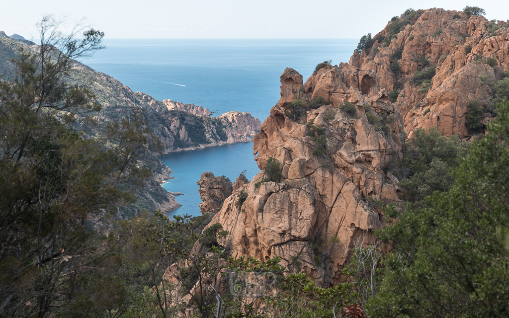 calanche_piana_golf_porto_1