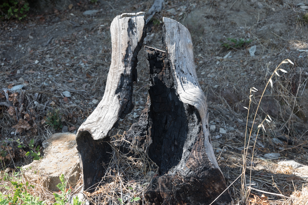 feuer_werk_11