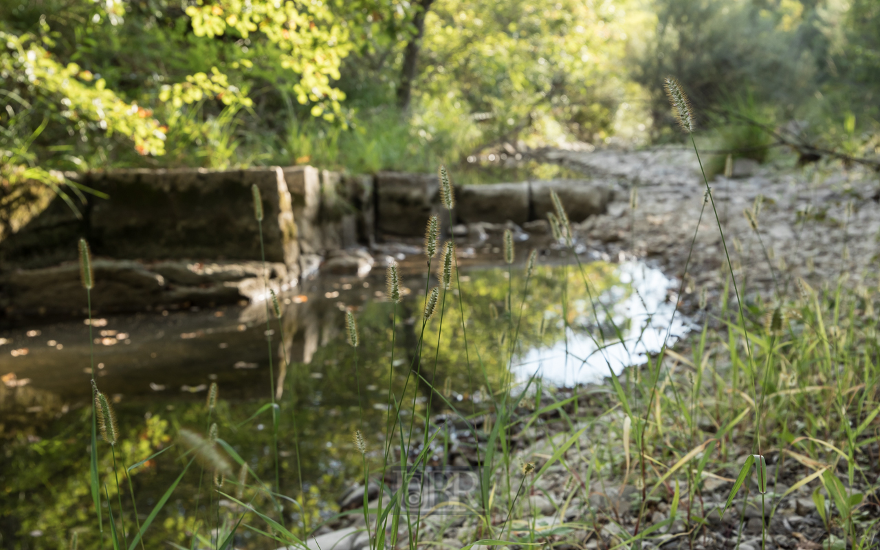 Ein Bach, der im Sommer gemächlich fließt oder ganz trocken ist