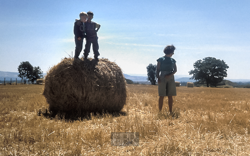 Hochsommer in der Auvergne