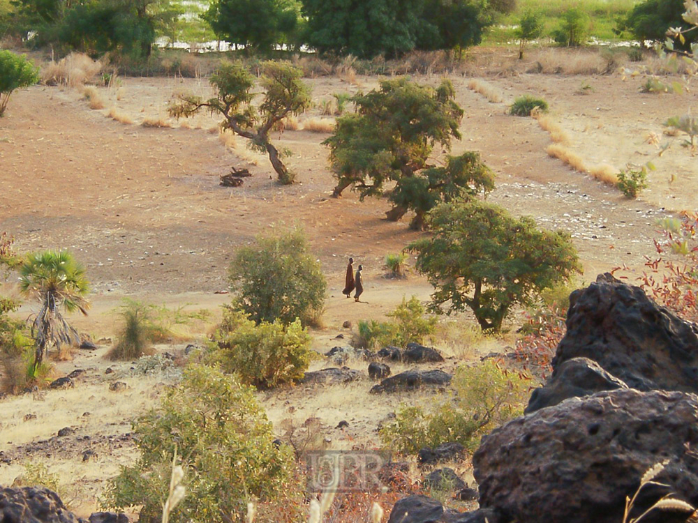 01_am_niger_01