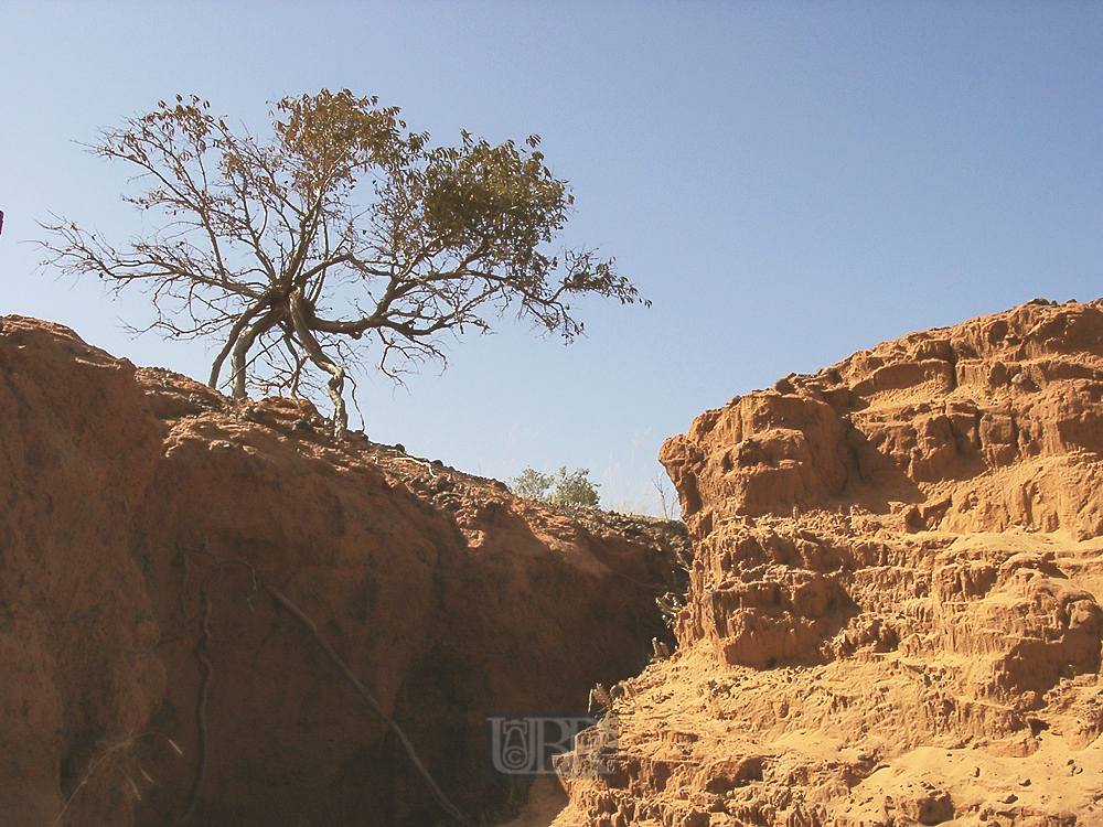 04_gorou_kirey_07_schlucht_01