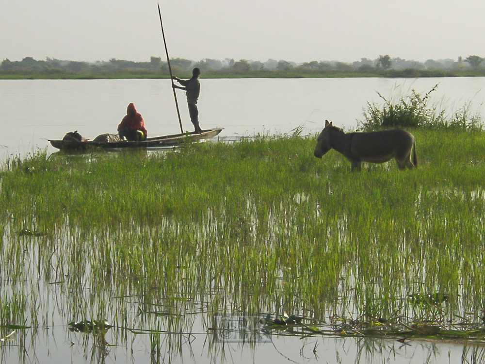 niger_piroggen_03_mit_esel