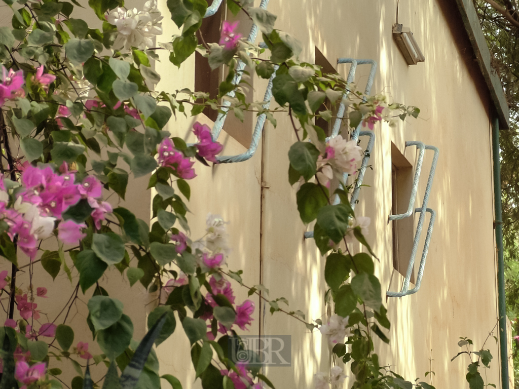 haus_und_garten_5