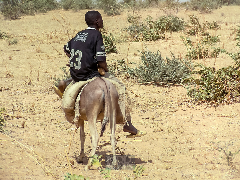 menschen_aus_niger_18