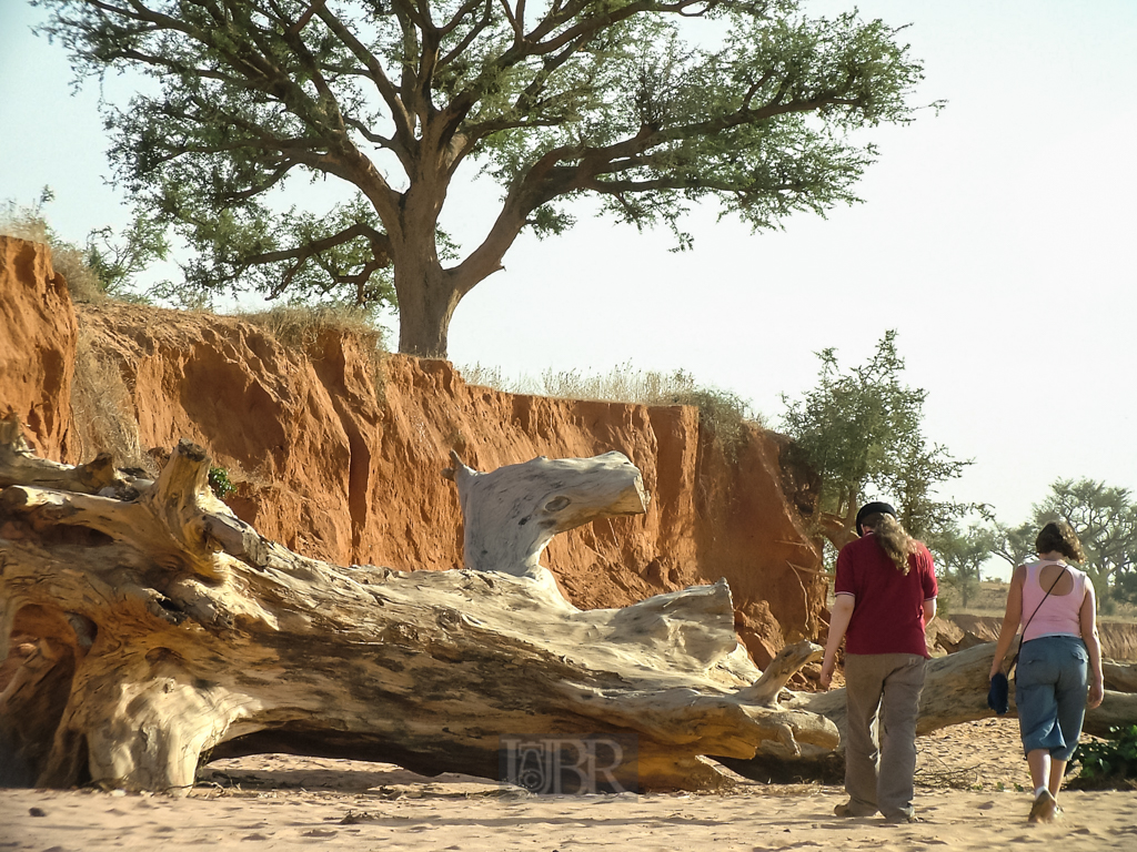 sahel_landschaft_1