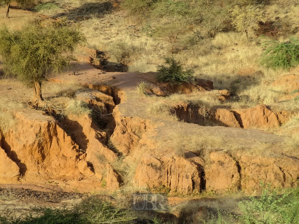 sahel_landschaft_12