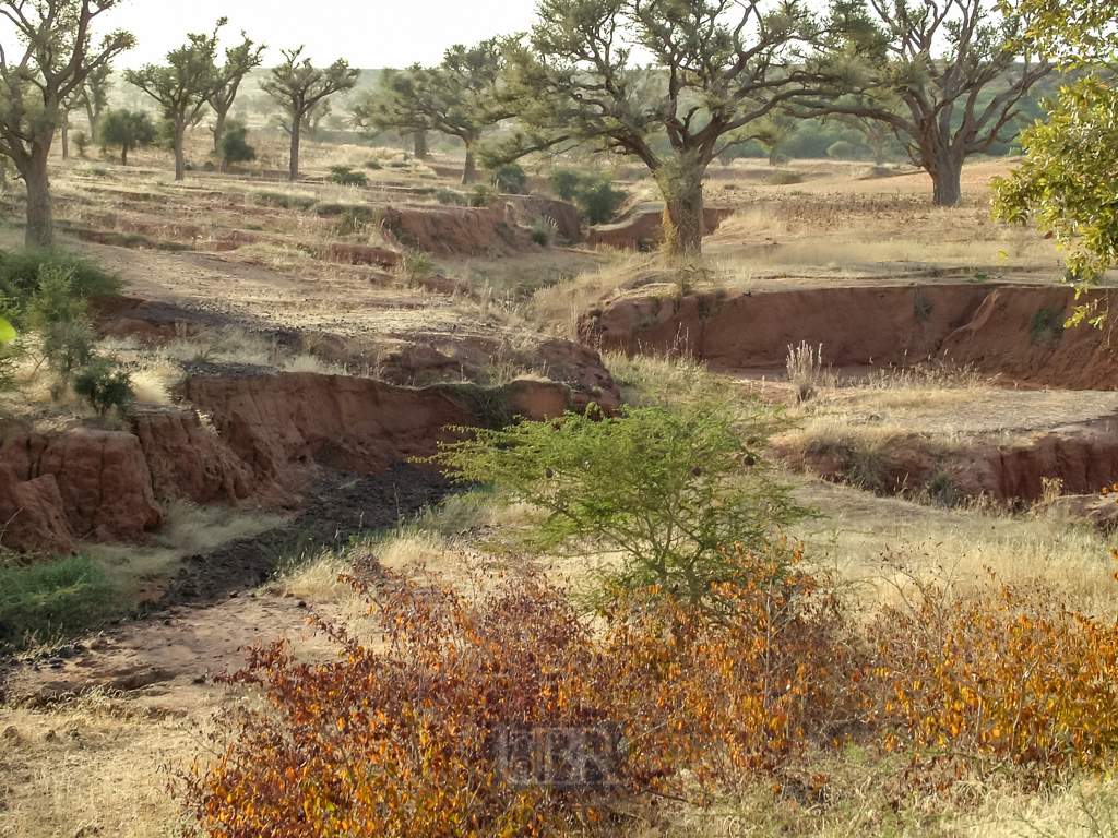 sahel_landschaft_14