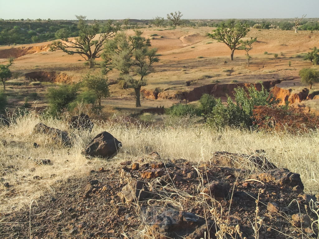 sahel_landschaft_16
