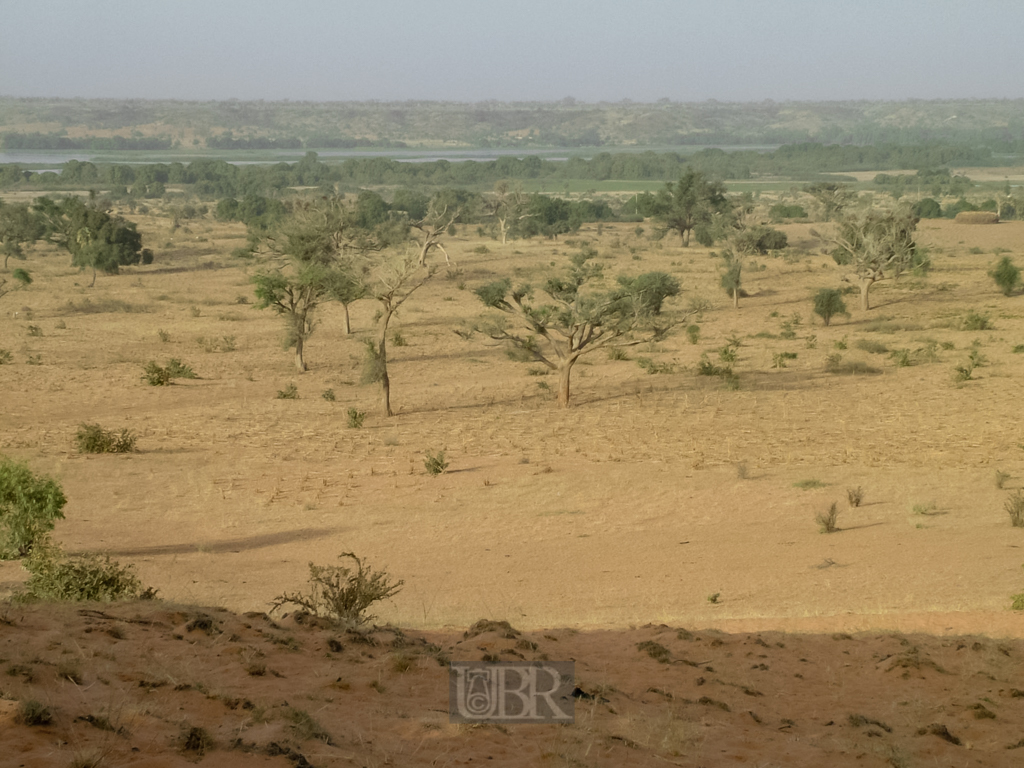 sahel_landschaft_20