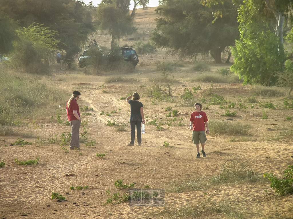 sahel_landschaft_22