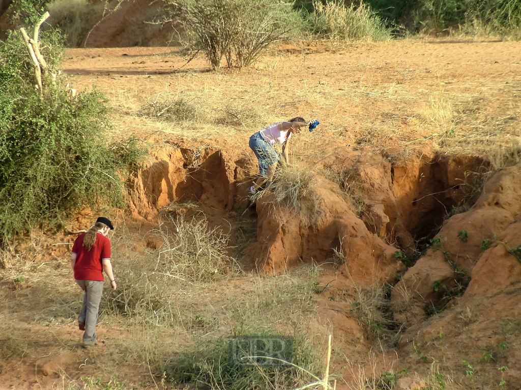 sahel_landschaft_3