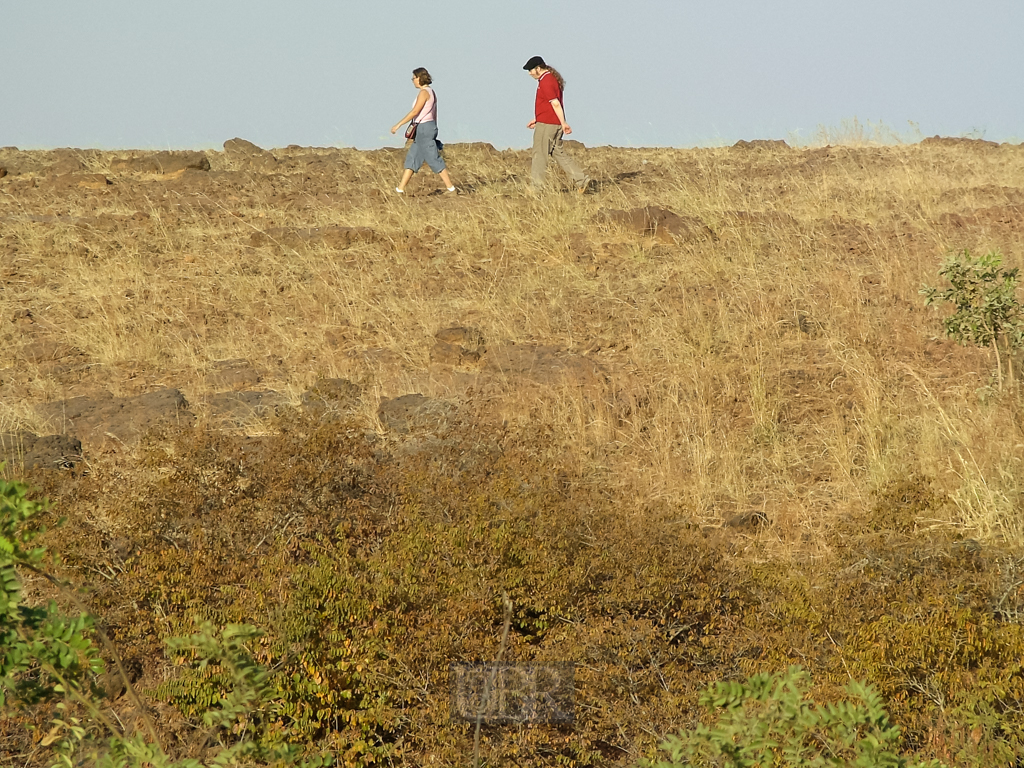 sahel_landschaft_4