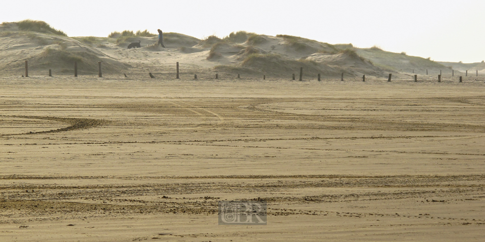 Strand und Dünen so weit das Auge reicht