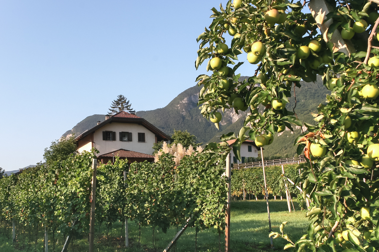 breitbach_hof_06_apfel_wein