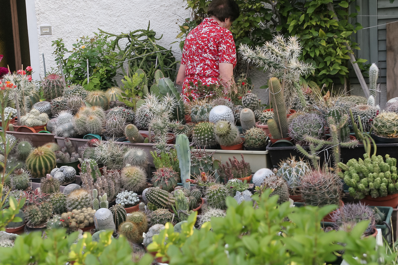 breitbach_kaktus_garten_breitbach