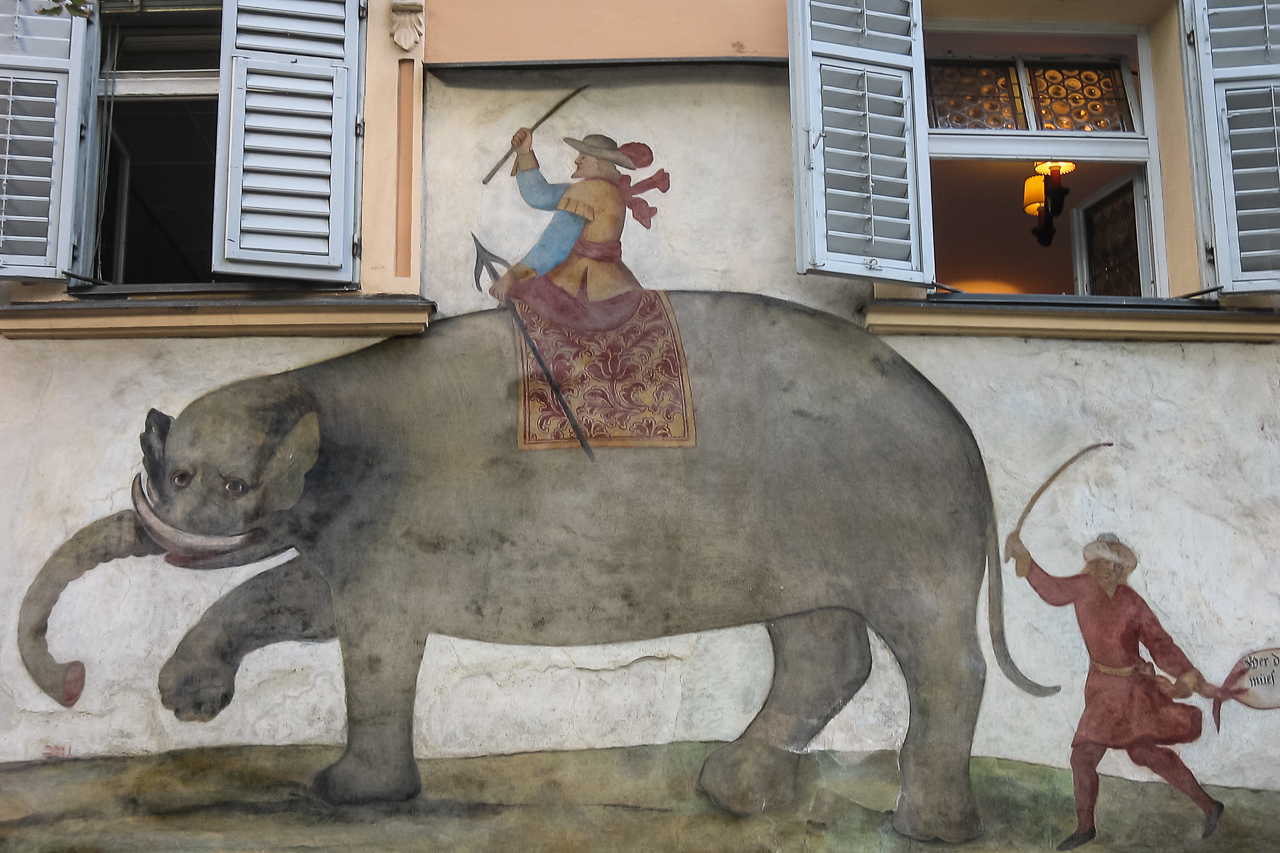 elefant_an_der_wand