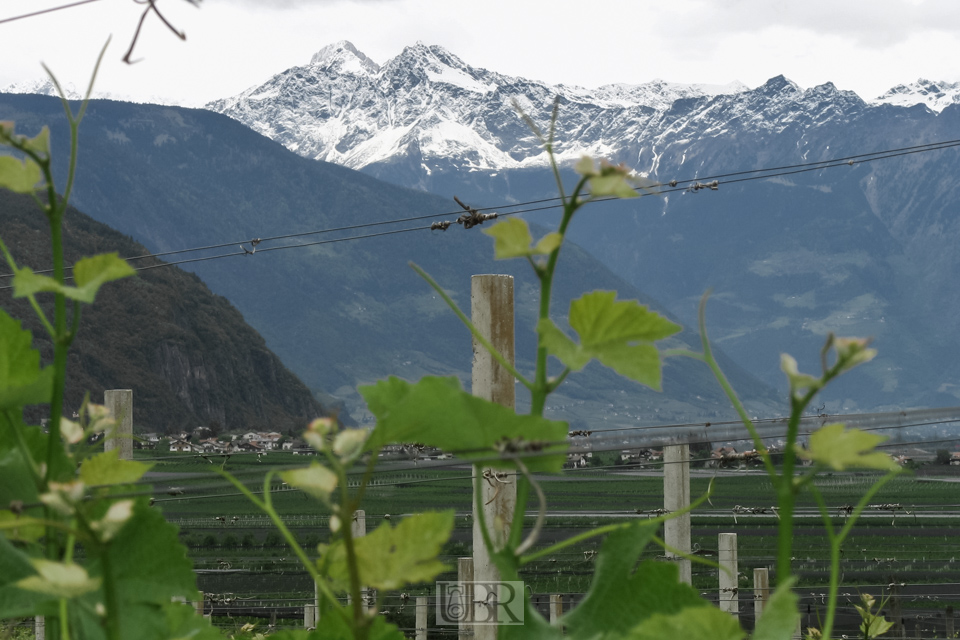 Blicke von Kurtatsch auf die umliegenden Berge