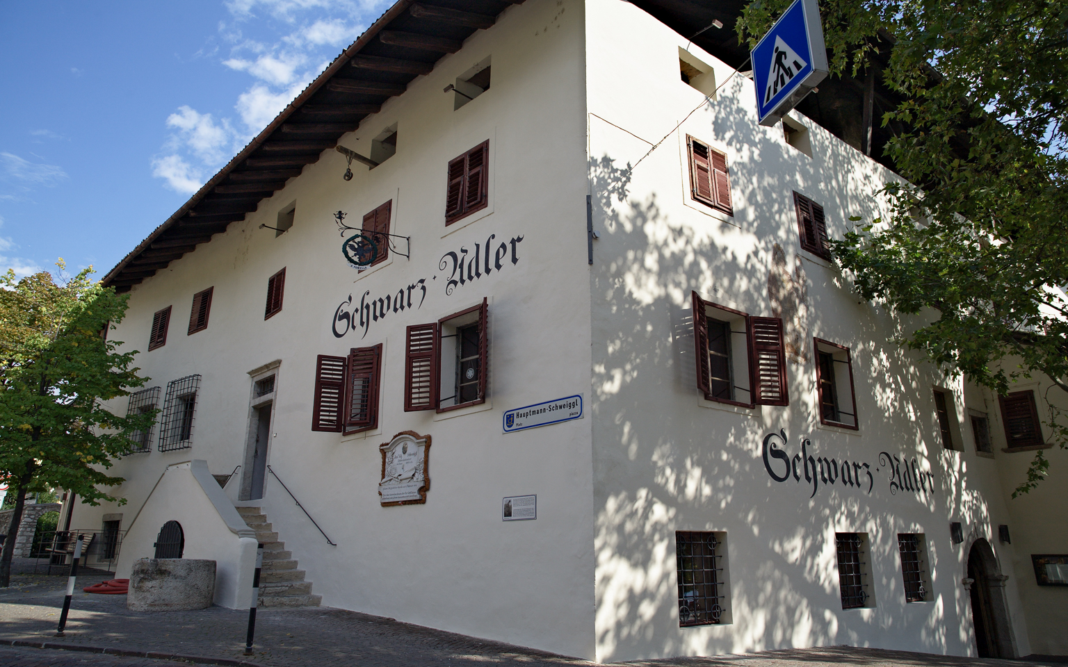 schwarzer_adler_02