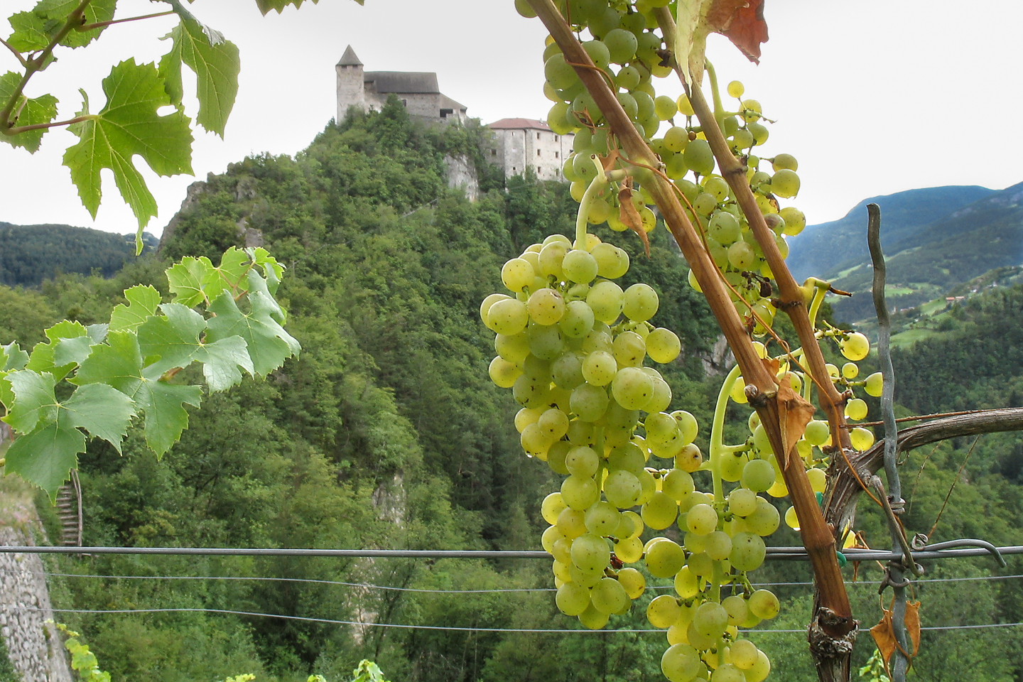 wein_vor_kloster