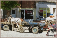 ra_04_sarkoey_06_pferd_und_wagen.jpg