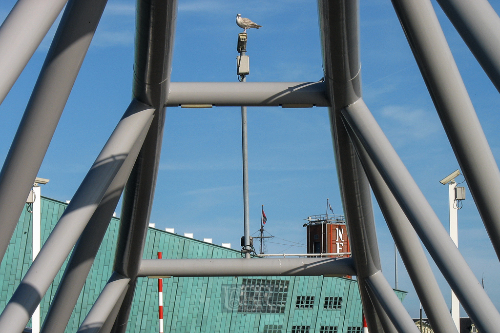 moewe_auf_nemo_bruecke