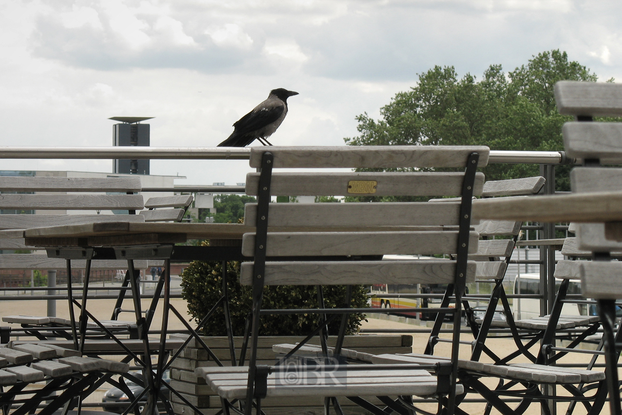 bahnhof_biergarten_kraehe